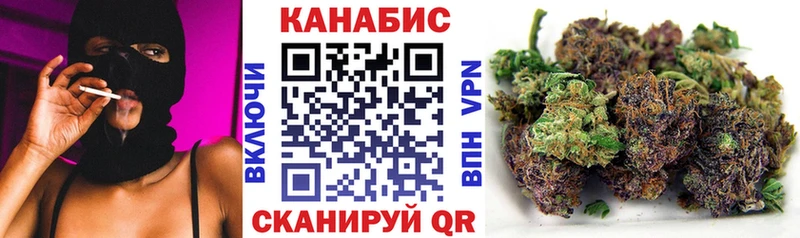 Канабис сатива  как найти закладки  Шелехов 
